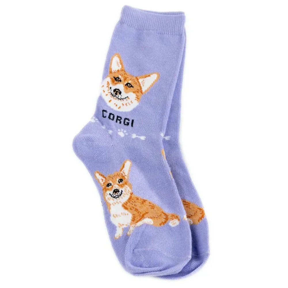 Corgi Pembroke Welsh Dog Doge Coin Crypto Foozys Puppy Loyal Cute Socks 2 Pairs